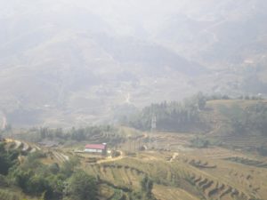 Landscape in Sapa Village 